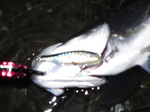 09-02-14-0001.JPG