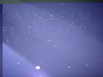 09-09-05-00011.JPG
