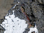 09-09-05-0002.JPG