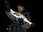 10-01-08-0002.JPG